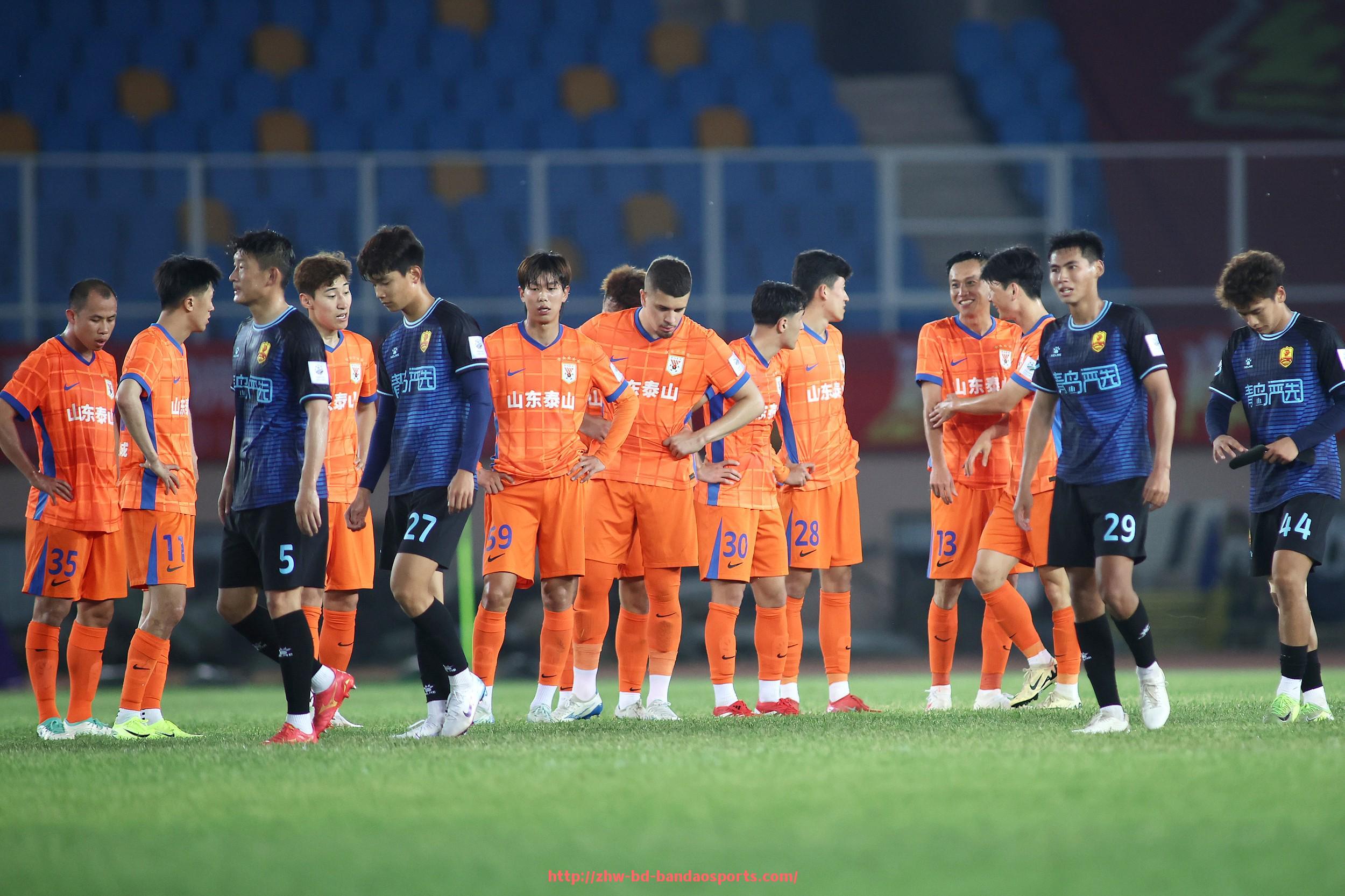 半岛体育-德甲球队队徽名称解析与象征意义